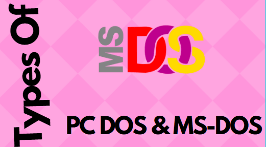 Types of MS-DOS