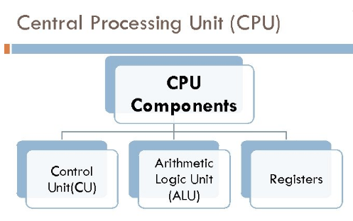 components of central processing unit