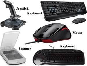  input devices Components of Computer