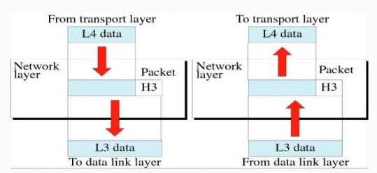 Layers of the OSI Model network layer