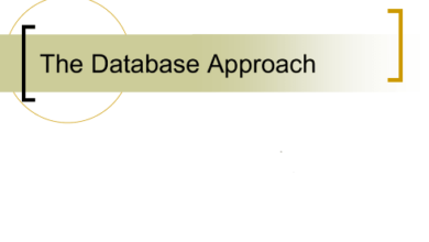 database approach