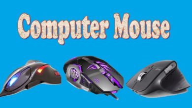 What is Computer Mouse