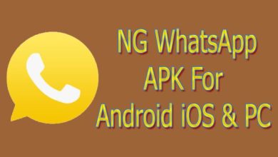 NG WhatsApp APK For Android, iOS & PC