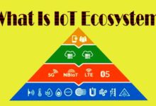 What is IoT Ecosystem?