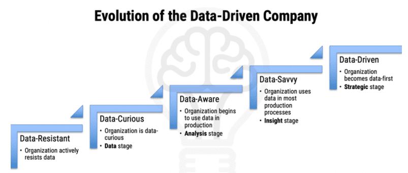 Data-Driven Organization structure