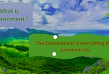 What do you meant by Environment