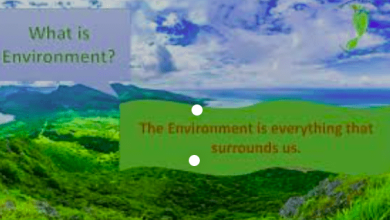 What do you meant by Environment