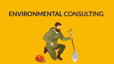 What is Environmental Consultant