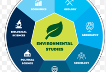 What is an Environmental Sciences