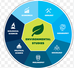 What is an Environmental Sciences